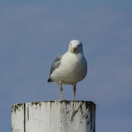 Semesterbostad Penthuus Modern Retreat *