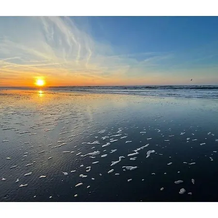 Semesterbostad Penthuus Modern Retreat